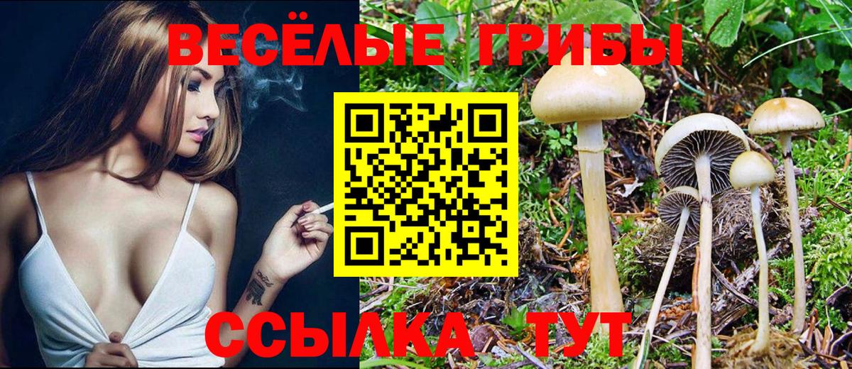 Галлюциногенные грибы Cubensis  Вход с VPN  Воскресенск 