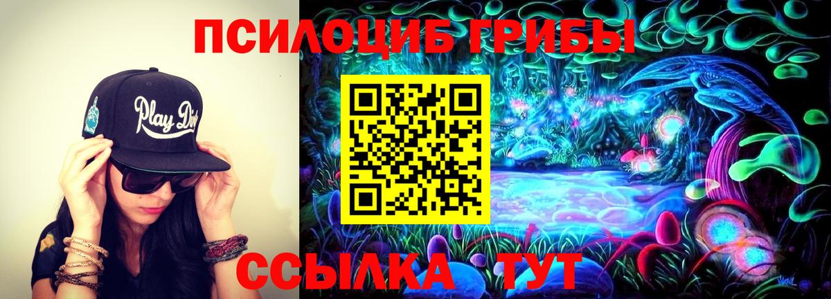 Псилоцибиновые грибы Psilocybine cubensis Воскресенск